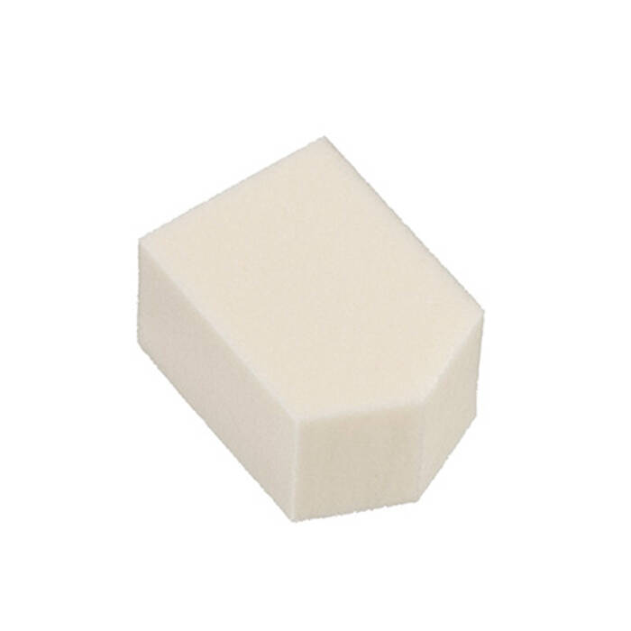 pentagon sponge 